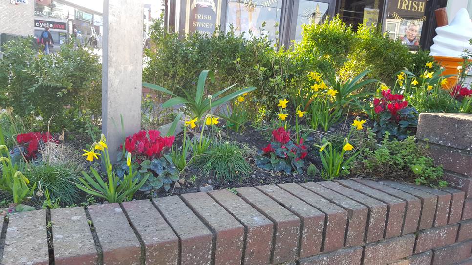 touch of spring