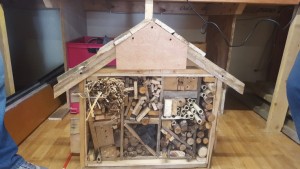 bug house