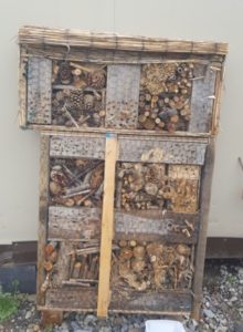 bug house