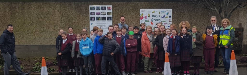 Bug Houses in Greystones Ireland