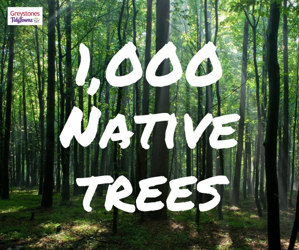 1000 trees Greystones