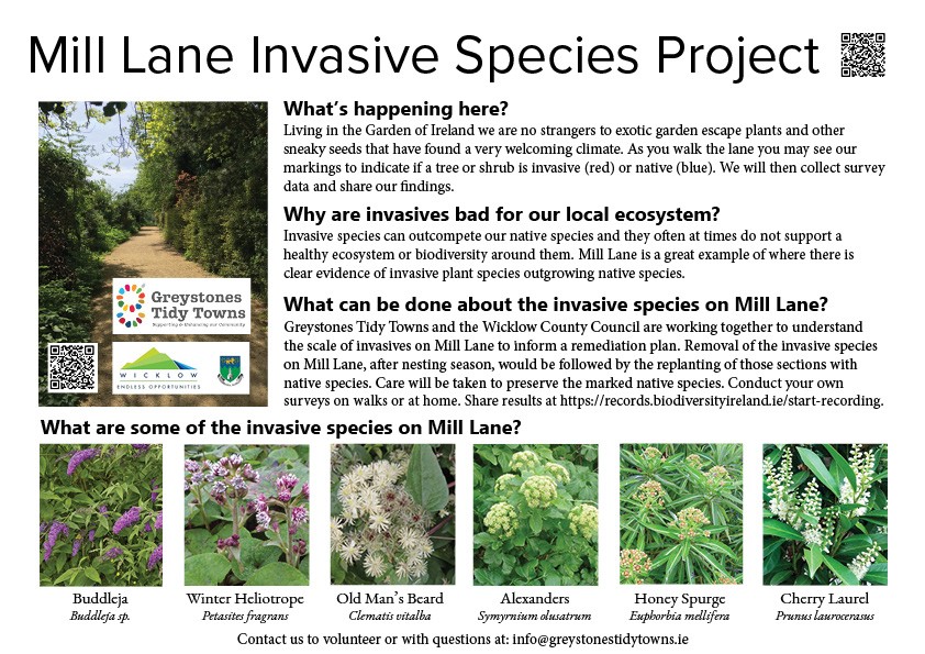 Mill Lane Invasives Surve Project Flyer